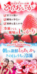 【数量限定】 完熟！冷凍とちあいか 約2kg