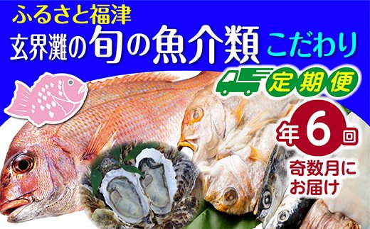 
【年6回奇数月】福津の旬の魚介類こだわり定期便【随時開始】[E6490a]
