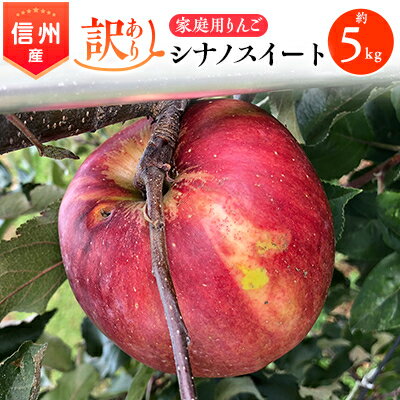 【ふるさと納税】2025年!信州のりんご【シナノスイート】訳あり　約5kg　家庭用_ りんご リンゴ シナノスイート 訳あり 林檎 長野県 信州 しなのスイート シナノ 果物 くだもの フルーツ デザート 傷 規格外 わけあり 国産 産直 産地直送 家庭用 自宅用 送料無料 【1230235】