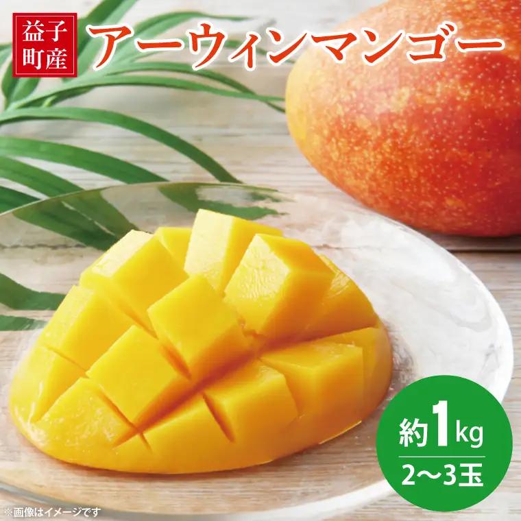 【先行予約】マンゴー 約1kg 2～3玉 益子町産 CA005