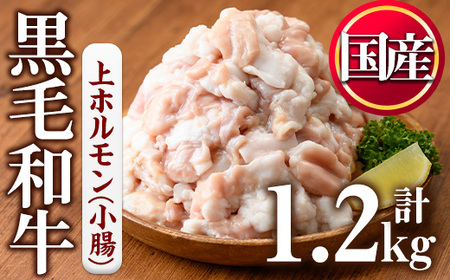 No.1001-02 黒毛和牛上ホルモン(計1kg)国産 九州産 牛肉 黒毛和牛 和牛 ホルモン 焼肉 鉄板焼き もつ鍋 冷凍 小分け【カミチク】