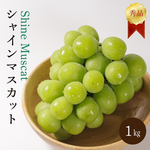 シャインマスカット 1kg 秀品 シャインマスカット 【SSK012】