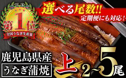 
            ＜尾数・配送回数が選べる！＞無投薬！鹿児島県産うなぎ蒲焼セット＜上＞(計280g以上〜計700g以上・140g以上×2尾〜5尾 / 定期便 全3回 計840g以上・140g以上×2尾×3回) タレ・山椒付き 鰻 ウナギ 国産【西日本養鰻】
          
