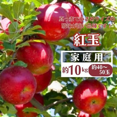 
            ＜先行受付＞りんご(紅玉) 家庭用 約10kg(40～50玉)【1494254】
          
