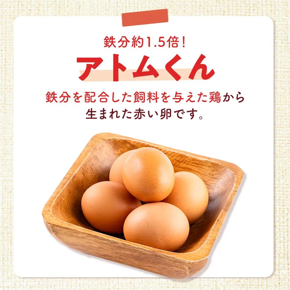 安田養鶏場のたまご アトムくん 30個入 AKHN002 たまご