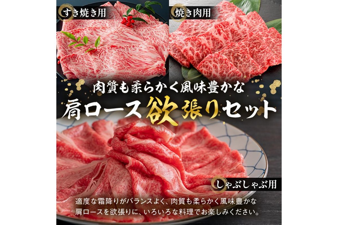 飛騨牛セット　肩ロース（クラシタ）肉（すき焼き用・しゃぶしゃぶ用・焼き肉用）各400ｇ【0016-044】