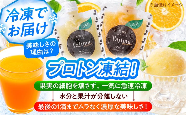 冷凍ジュース10種飲み比べ / みかん 柑橘 いちご 苺 ジュース 果汁100% / 佐賀県 / 合同会社田島柑橘園＆加工所 [41ATAD001]