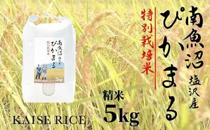 【令和7年】南魚沼産塩沢【ぴかまる】（特別栽培米８割減農薬）精米５ｋｇ｜ぴかまる