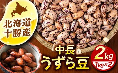 北海道 あしょろの中長うずら豆 1kg×2袋  豆 豆 豆 豆 豆 豆[BEAA022]