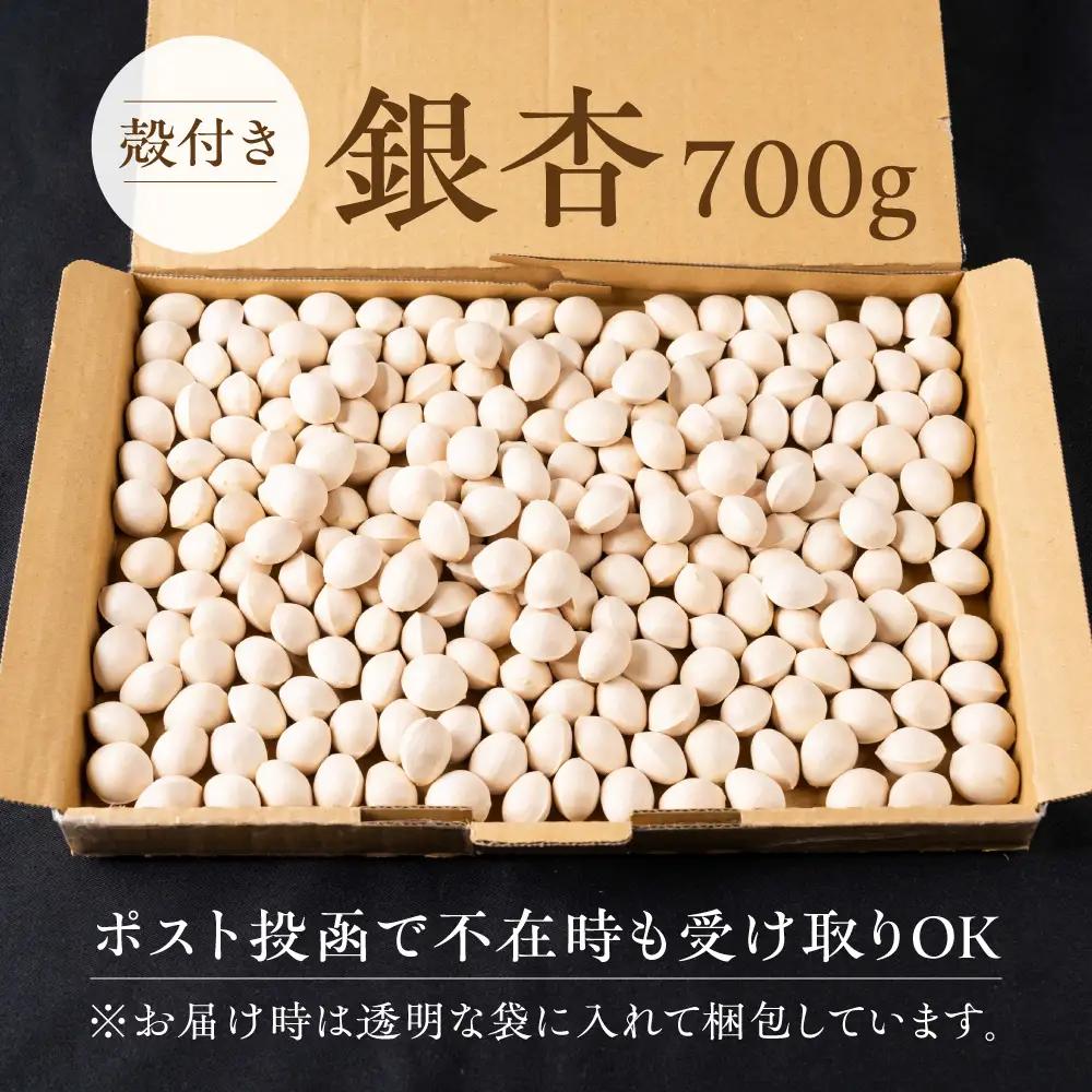 先行予約受付中 ふっくら銀杏 700g｜銀杏