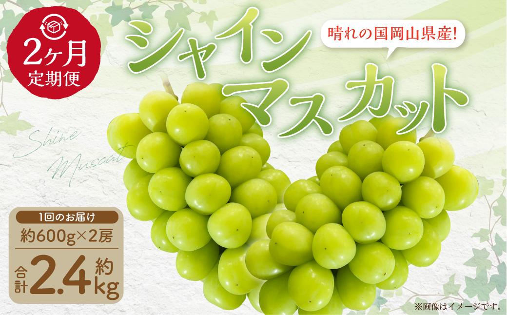 【2回定期便】岡山県産 シャインマスカット晴王計2房(1房600g以上)【2024年8月下旬発送開始】