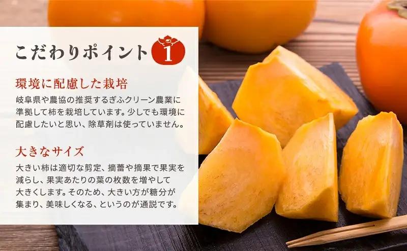 富有柿発祥の地から収穫翌日発送！【贈答用】富有柿 Lサイズ 14個 | かき フルーツ カキ 果物 くだもの ※2026年11月～発送