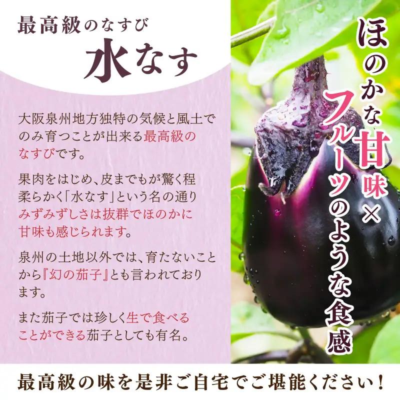 泉南銘産 水なす調味液漬け 水なす花子 8袋【042D-018】