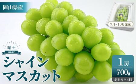 2026年予約受付中 シャインマスカット 晴王 1房 約700g 4回 定期便  7月・8月・9月・10月に1回ずつお届け 【シャインマスカット マスカット ぶどう 葡萄 岡山県産  種無し 皮ごと食べる みずみずしい フレッシュ 温室栽培 晴れの国おかやま 果物大国 彩美菜果 岡山県 岡山市 おすすめ 人気 】