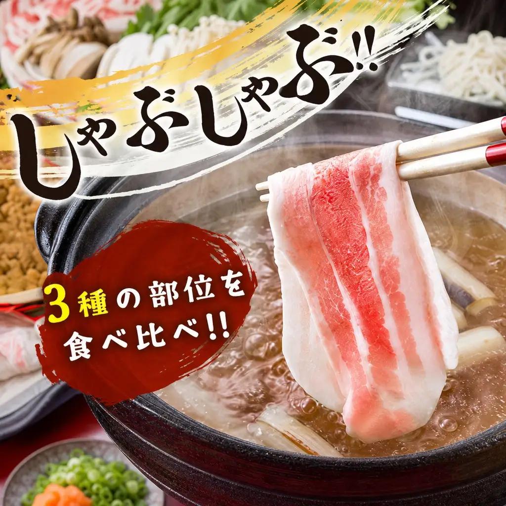 宮崎県産 豚しゃぶしゃぶ三種盛り食べ比べセット 合計2.2kg ※ご入金翌月中に出荷【B584】