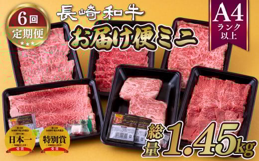 B244p 《定期便》長崎和牛お届け便ミニ(6回)