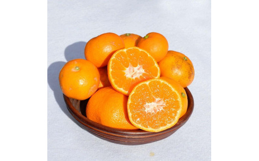 
                  ［先行予約］訳ありみかん 約5kg（箱込み）　和歌山県産
                