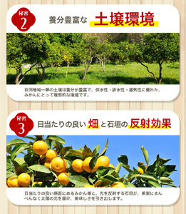 【2024年12月発送】＼光センサー選別／農家直送 【家庭用】こだわりの有田みかん　約5kg＋150g(傷み補償分) みかん ミカン 有田みかん 温州みかん 柑橘 有田 和歌山 ※北海道・沖縄・離島配