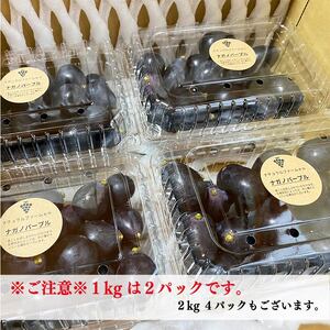【2025収穫分先行予約】 ぶどう ナガノパープル 1kg バラ粒 500g 2パック 美味しい葡萄 小分け 新着 ブドウ 葡萄 人気 予約 フルーツ ブドウ1kg くだもの 甘いぶどう マスカット 