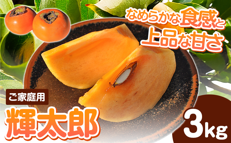 【先行予約】 ご家庭用 輝太郎柿 約3kg 岡崎ファーム《10月上旬-10月末頃出荷》鳥取県 八頭町 柿 かき カキ 輝太郎 果物 フルーツ
