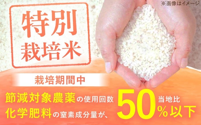 【6回定期便】特別栽培米 さがびより 白米 10kg 配送前精米/江口農園[UBF028] 米 お米 精米 佐賀県産 特A評価