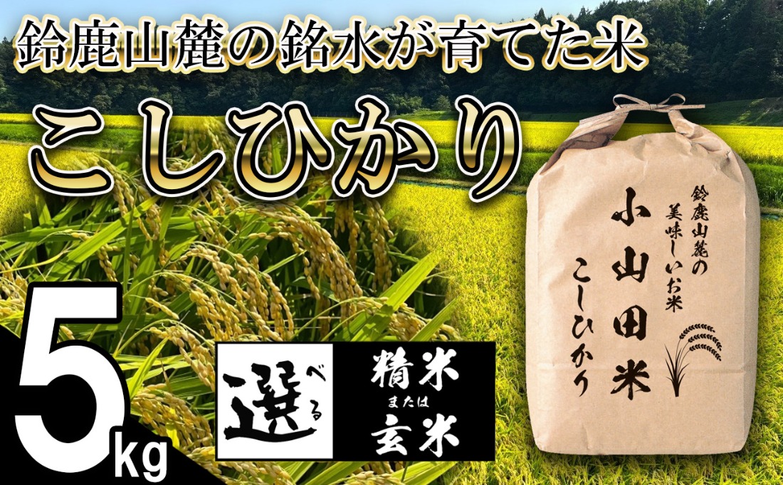 【令和８年産】新米 こしひかり（精米）5kg 鈴鹿山麓の銘水が育てた米 l 米どころ 三重県産 小山田地区  小山田米  米 コメ 白米 精米