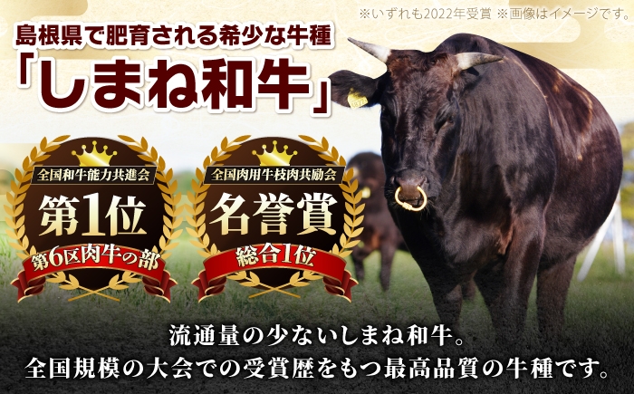 ステーキ肉 すてーき サイコロステーキ さいころすてーき