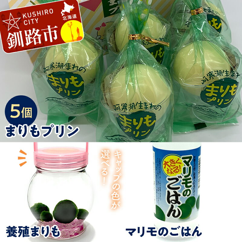 【ふるさと納税】阿寒湖銘菓まりもプリン5個入と養殖まりもセット（ブルー） 北海道 釧路 ふるさと納税 養殖まりも 飼育 プリン カスタード スイーツ 菓子 F4F-1863