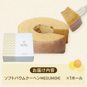 バームクーヘン 【ソフトタイプ】 バウムクーヘン