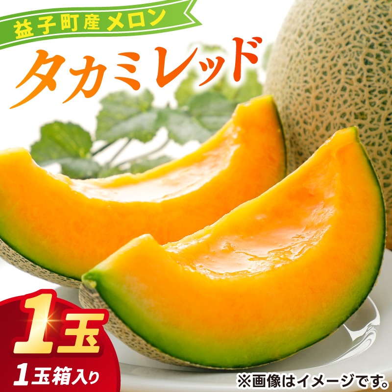 ＼果汁たっぷり／栃木県益子町産 タカミレッド 約1.5kg×1玉 (2025年6月発送予定) | ましこメロン 果物 くだもの フルーツ メロン 赤肉 赤肉メロン 旬 贈り物 ギフト 箱入り お取り寄せ 甘い 栃木県産 益子町産 (AA044)