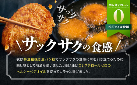 【定期便全3回】飛騨牛コロッケ食べ比べ定期便（通常・ピリ辛・プレミアム）| 大きめ 人気 食べ比べ 飛騨牛 コロッケ レンジ 揚げ調理済 飛騨高山 ひだコロッケ本舗 FU100