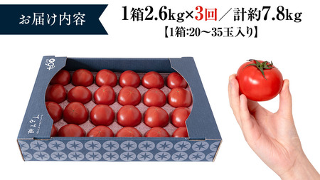 糖度9度以上 トマト 【定期便】スーパーフルーツトマトてるて姫 大箱 約2.6kg×1箱×3回 お届け！フルーツトマト トマト 2025年2月上旬発送開始 とまと 野菜 [BC087sa]