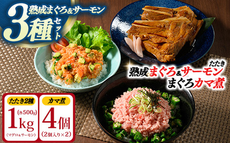 【県水の熟成まぐろ】漁師作りプレミアム、熟成サーモンたたき、まぐろカマ煮詰め合わせセット（まぐろたたき、サーモンたたき各500g×1、まぐろカマ煮2個入り×2） | 高品質 鮪 まぐろ 脂 たたき まぐろのたたき メバチ キハダ 寿司 すし 海鮮 小分け 海鮮丼 手巻き寿司 神奈川 相模原 ※北海道・沖縄・離島への配送不可