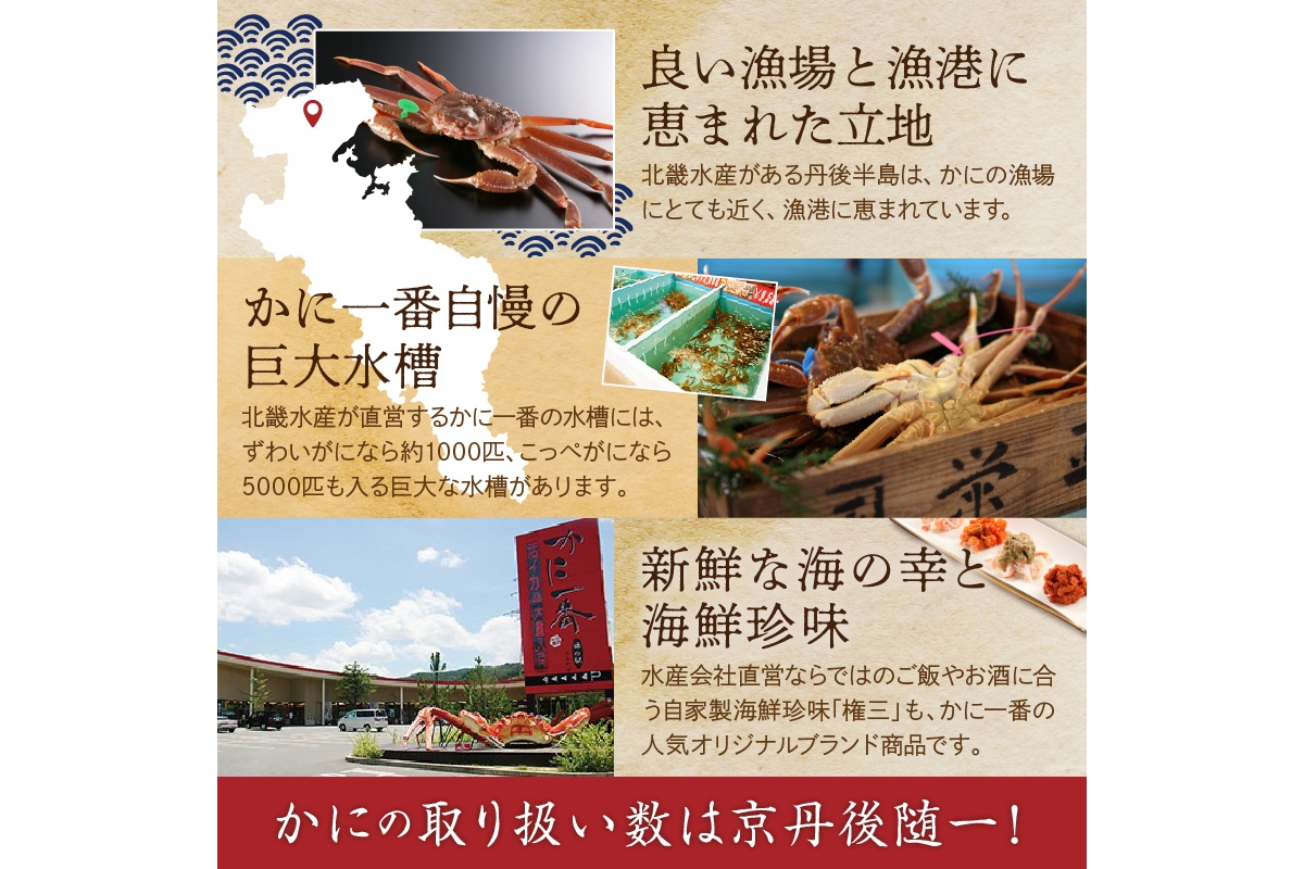 かに卸問屋がお届け・自社釜ゆで！山陰沖ゆで松葉がに 700ｇ～800ｇ 中大サイズ（1月～3月発送）／北畿水産　HK00240