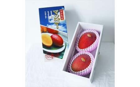 《先行予約》沖縄県宮古島産 減農薬栽培マンゴー 2kg【最良品】｜贈答用・糖度15度以上！｜琉球マルシェ