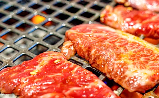 鳥取和牛 クラシタ焼肉用 500g