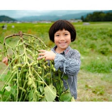 10月　家族で収穫体験　丹波篠山の黒枝豆狩り5株