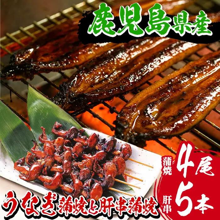 国産うなぎ（鹿児島県産うなぎ）うなぎ蒲焼 4尾 約640g と肝串5本付き！【数量限定】【00-025-12】