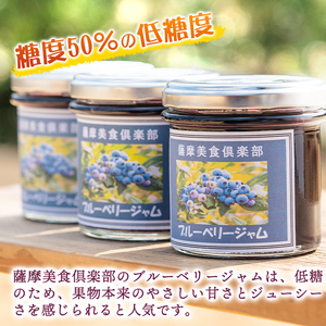 isa544 《毎月数量限定》手作りブルーベリージャム(計9個・各140g)加工食品 果物 フルーツ 詰め合わせ 果肉 ブルーベリー 低糖 ハンドメイド ジャム ギフト【薩摩美食倶楽部】