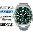 SEIKO 腕時計 メンズ【正規品 1年保証】 【SBDC081】 セイコー プロスペックス メカニカル ビジネス スーツ 仕事 就職 誕生日 プレゼント 入社 卒業 お祝い ファッション 送料無料 男子 男性 男 時計 200m潜水用 防水 ガラス 材質 サファイア 父の日