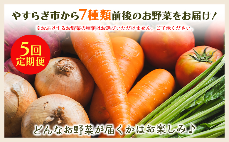 【５回定期便】やすらぎ市 産地直送やさいＢＯＸ（7種類前後） - 野菜 ベジタブル おまかせ 詰め合わせ セット 季節 旬 お任せ お楽しみ ヘルシー 国産 特産品 送料無料 やすらぎ市 高知県 香南