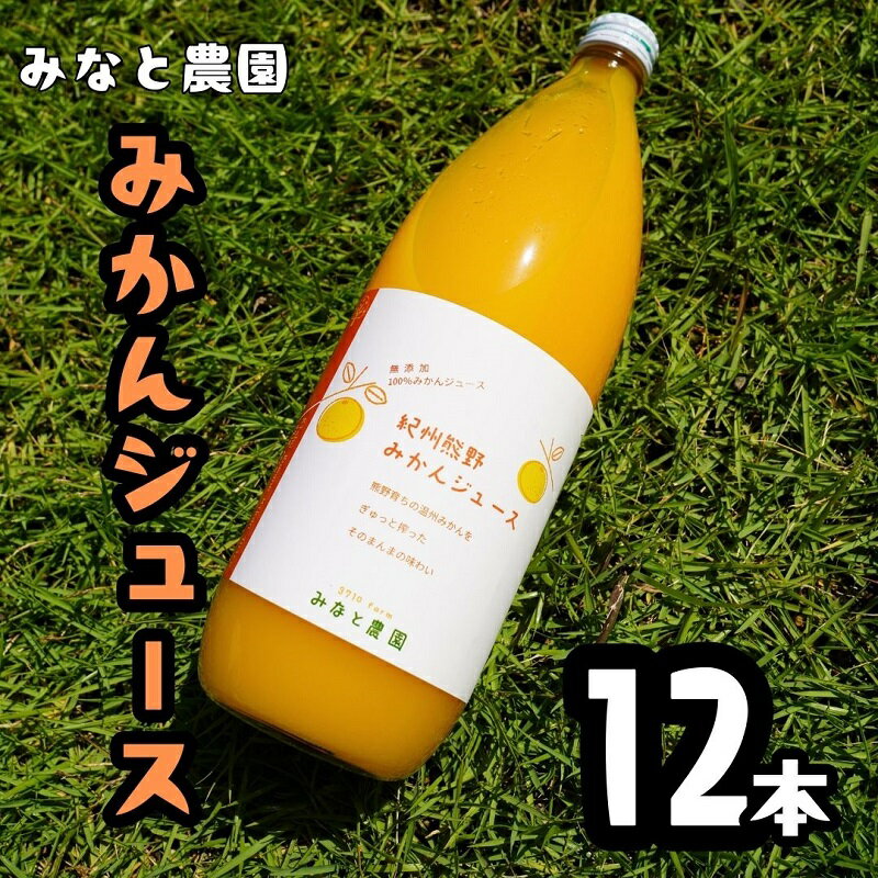 【ふるさと納税】 みかんジュース 湊農園のみかん搾っただけ！【紀州熊野みかんジュース】1000ml×12本 段ボール箱