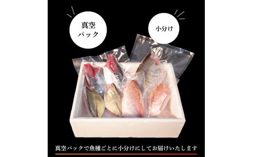 天然 鮮魚 詰め合わせ 朝獲れ直送 下処理済み 3~5種入り 1kg～1.5kg （2026年5月出荷） 冷蔵 刺身 魚種お任せ 水揚げ 海鮮 魚介 産地直送 新鮮 魚 鮮魚ボックス