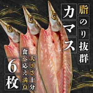 国産 厳選 冬 カマス６枚 干物 脂 旨味 凝縮 真空 パック 食べやすい ご飯 おかず 冷凍 小分け 個包装
