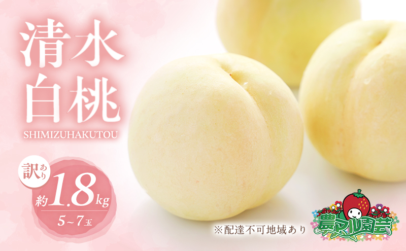桃 2025年 先行予約 訳あり品 清水 白桃 約1.8kg 5～7玉 もも モモ フルーツ 果物 岡山 赤磐市産 農マル園芸 あかいわ農園