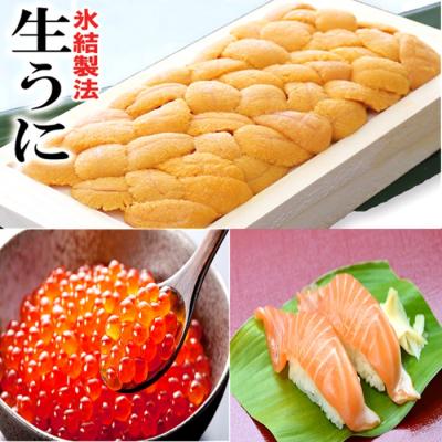 ふるさと納税 根室市 冷凍エゾバフンウニ100g(赤系)、いくら(鱒卵)、サーモン[11月中旬以降発送] D-71067