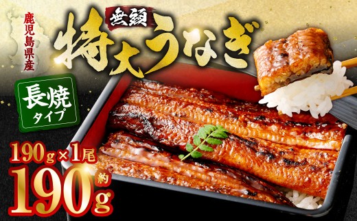 鹿児島県産 無頭 特大うなぎ 蒲焼 約190g×1尾 うなぎ 鰻 ウナギ 国産 冷凍 AS-056