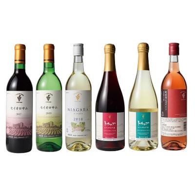 ふるさと納税 池田町 十勝ワイン 赤・白・ロゼ・スパークリング 計6本セット　 |  | 01