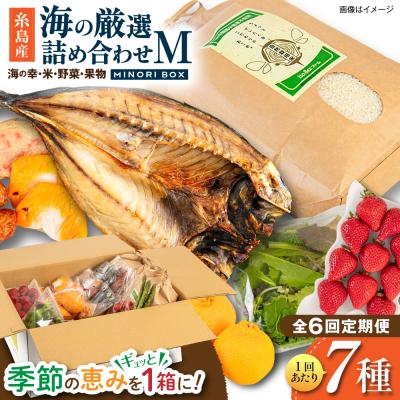 ふるさと納税 糸島市 全6回定期便 糸島産 魚 米 野菜 果物 厳選詰め合わせ MINORI BOX M [AOP025]