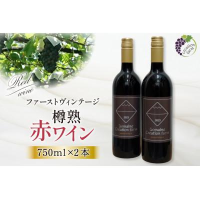 ふるさと納税 韮崎市 《数量限定》樽熟赤ワイン 750ml×2本セット　